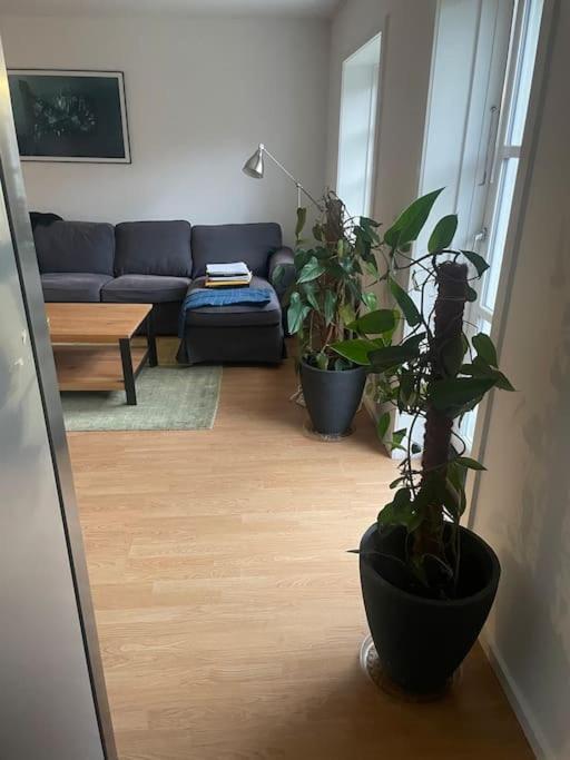 2 Bedroom Apartment Near The Sea Тісвіллелейе Екстер'єр фото
